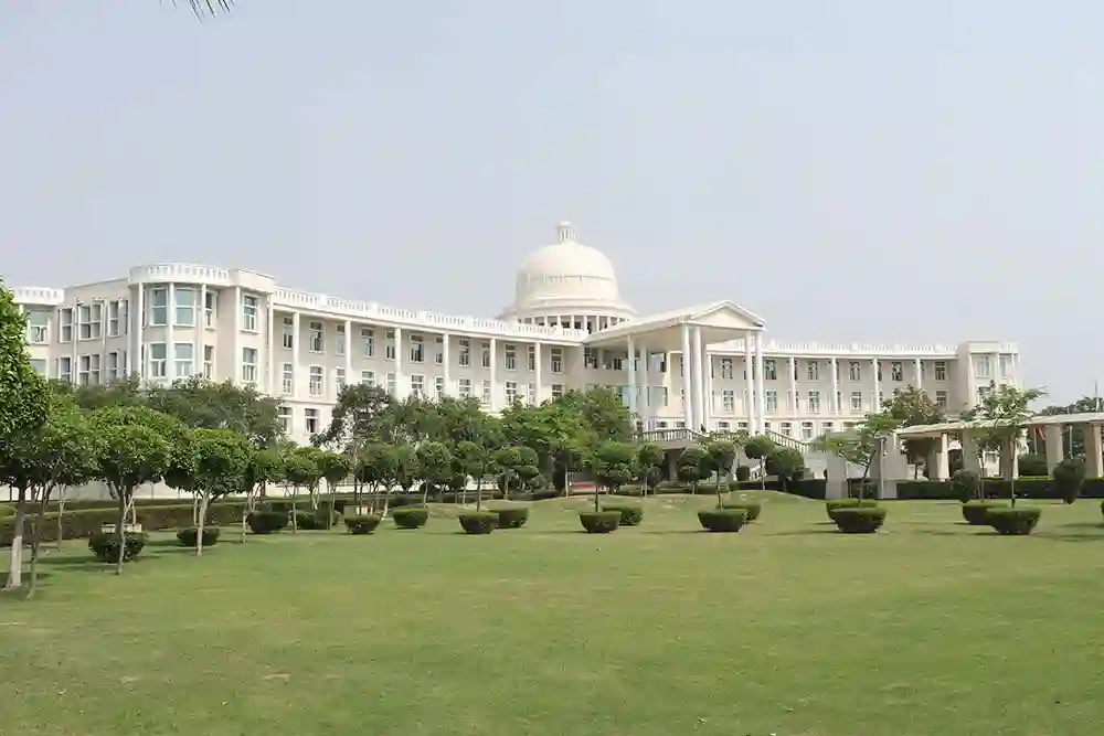 Noida International University (NIU)