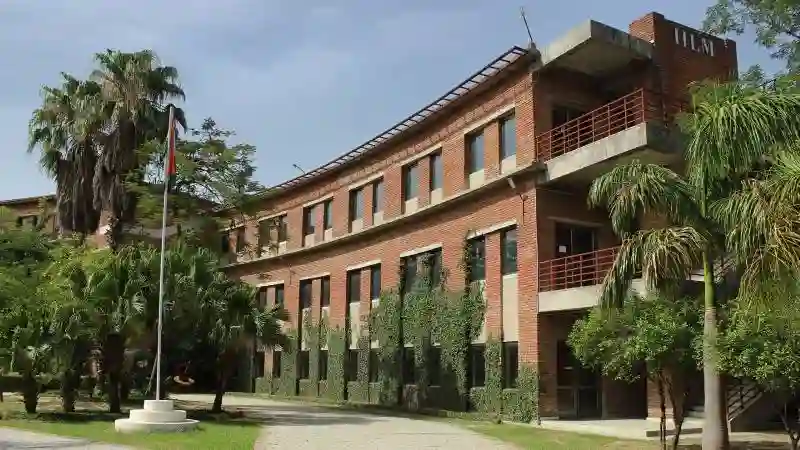 IILM University